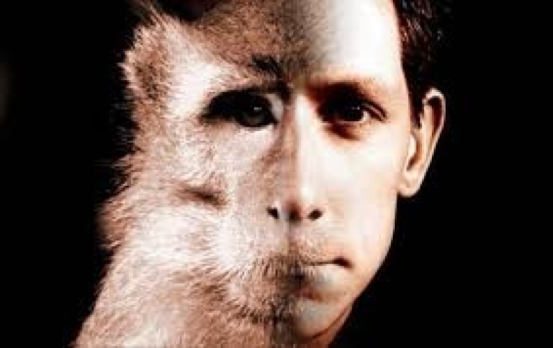 L'homme et l'animal