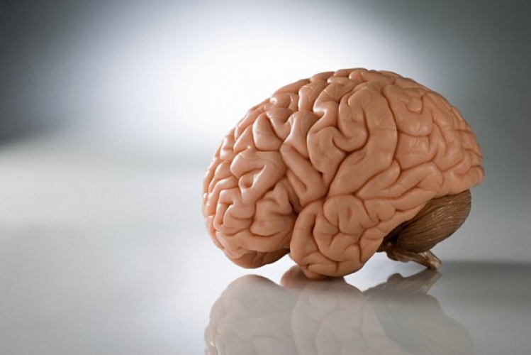 Les 5 lois de la stupidit humaine