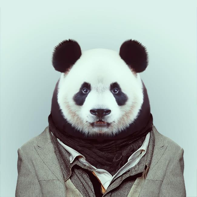 Les animaux sont-ils... btes ?