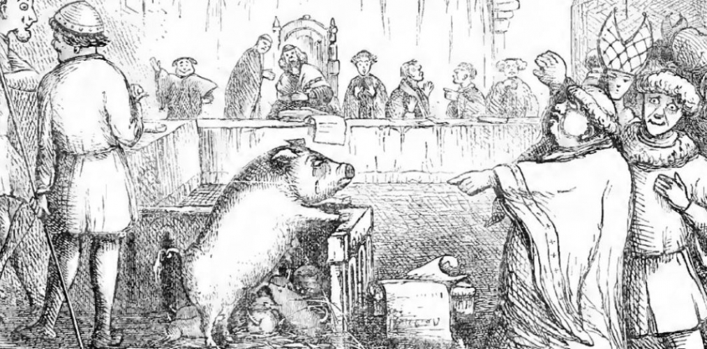 L'trange histoire des procs d'animaux au Moyen ge